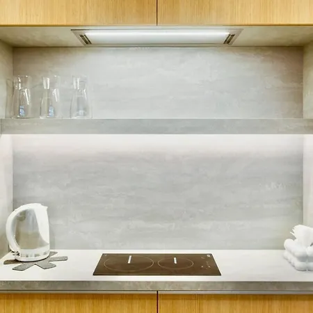 Flat In Vlinius Center 公寓 维尔纽斯