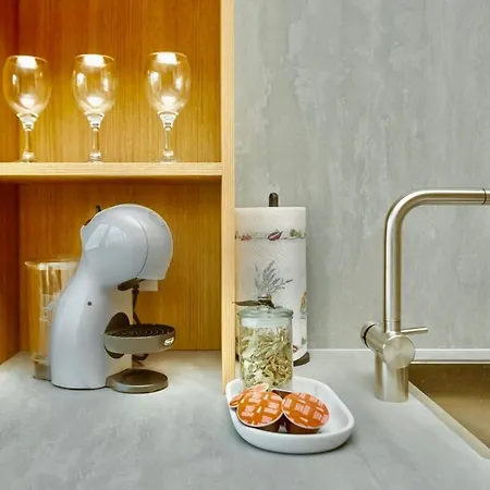 公寓 Flat In Vlinius Center *