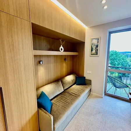 Flat In Vlinius Center 维尔纽斯