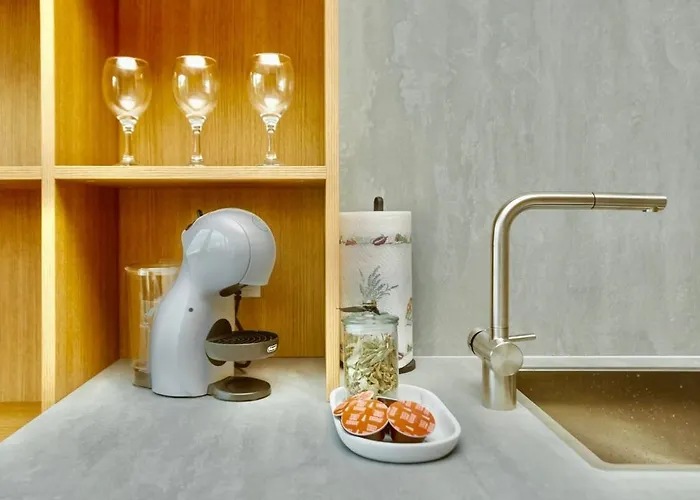 公寓 Flat In Vlinius Center *