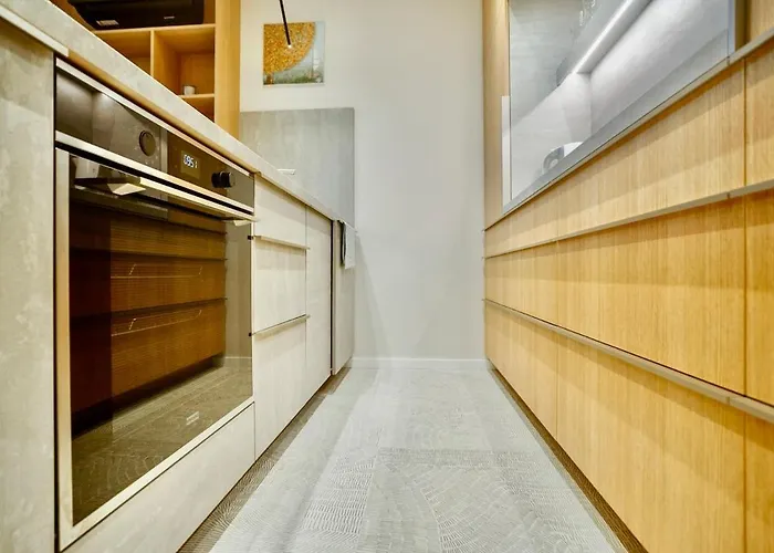 公寓 Flat In Vlinius Center