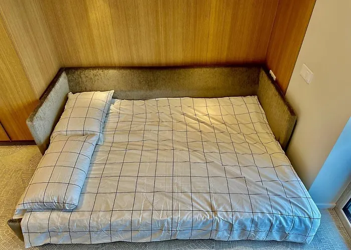 Flat In Vlinius Center * Vilnius