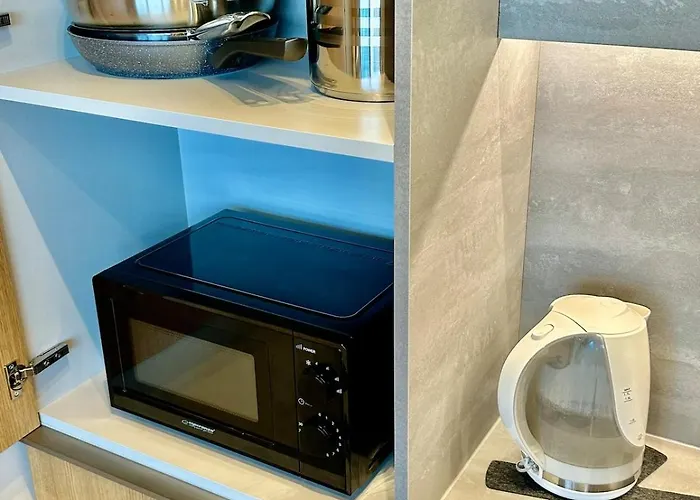 Flat In Vlinius Center