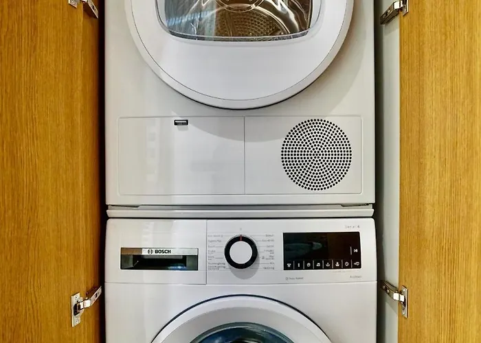 Butas Flat In Vlinius Center