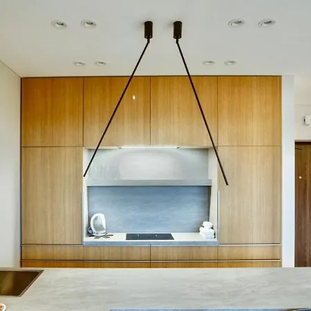 Flat In Vlinius Center *